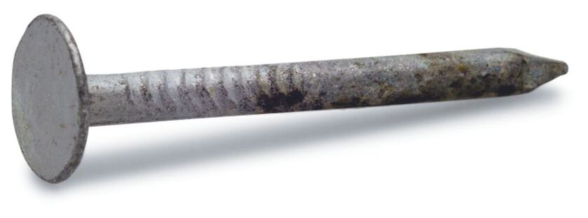 Pappspik fzv 2,8x20mm 800p Fast