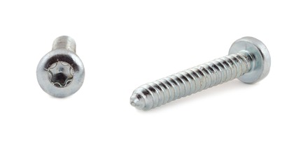 Plåtskruv RTS fzb 6,3x25mm T30 kullrig 100p ANS