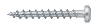 Elskruv fzb trä 4,2x22mm 250p VSB