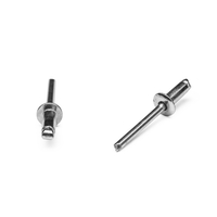 Popnit fzb 3,2x8mm kullrig öp. 250p ANS