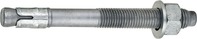 Pinnexpander fzv 10x60mm/10 50p ANS