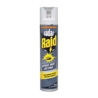 GETINGSPRAY RAID BY RADAR 0,3L